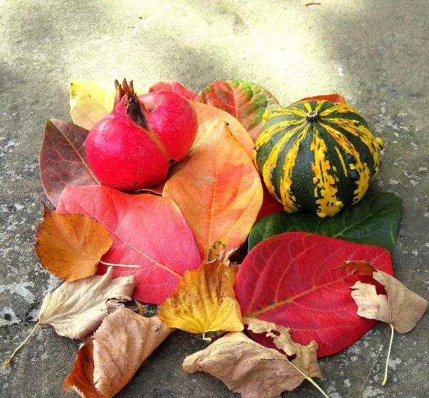 민박 Lo Sghimbescio