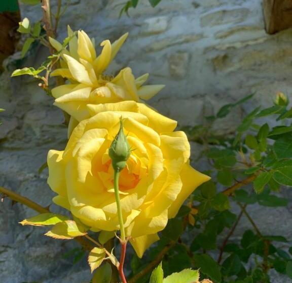 민박 Lo Sghimbescio