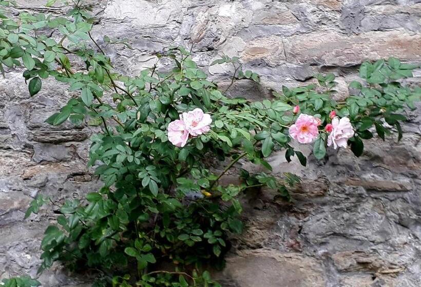 민박 Lo Sghimbescio