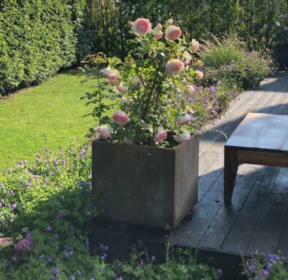 مبيت وإفطار Morris Coffee & Crafts