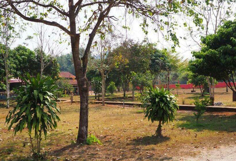 פנסיון Kaokondo Resort