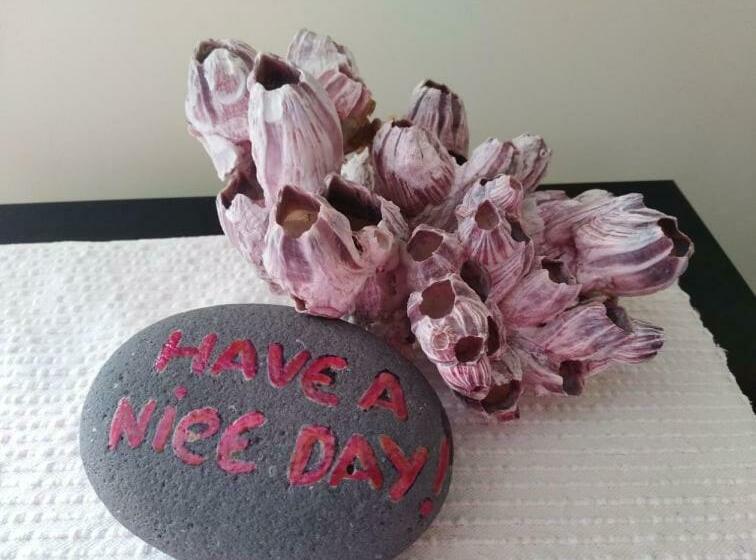 膳宿费 Matriz Guest House