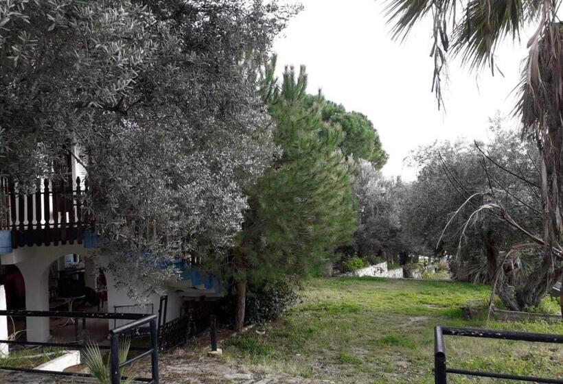 ホテル Asia Apart