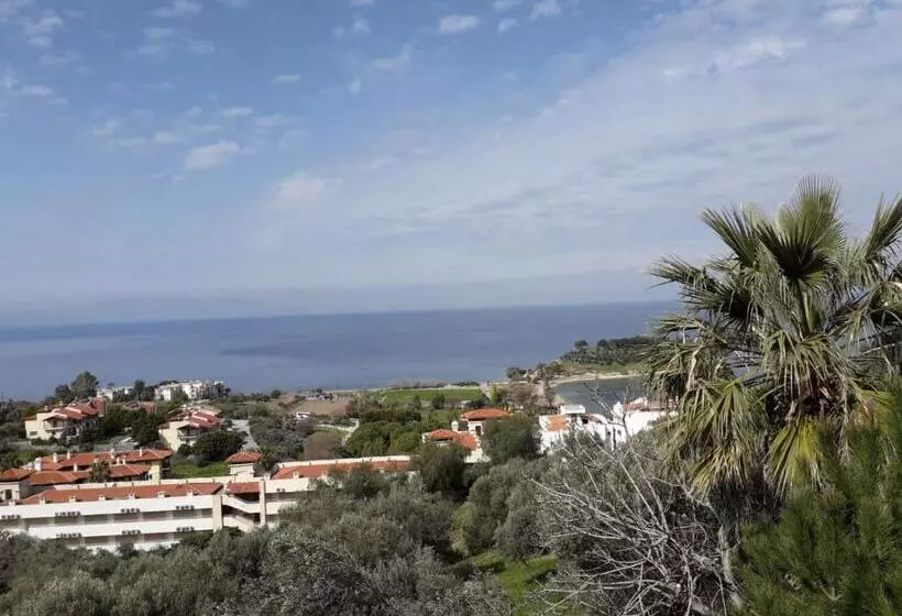 ホテル Asia Apart