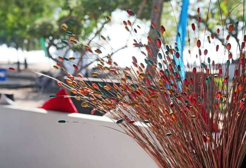 ホテル Danima Resort