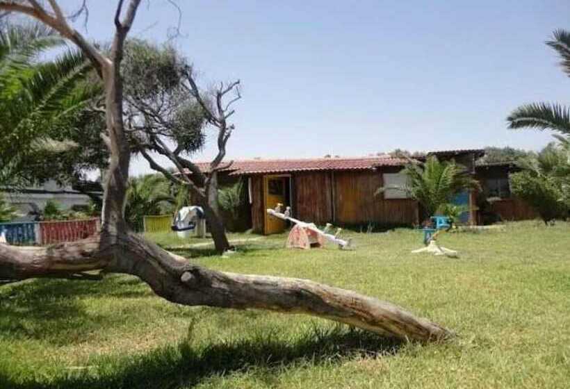 בית מלון כפרי Palmyra Golden Beach Families And Couples