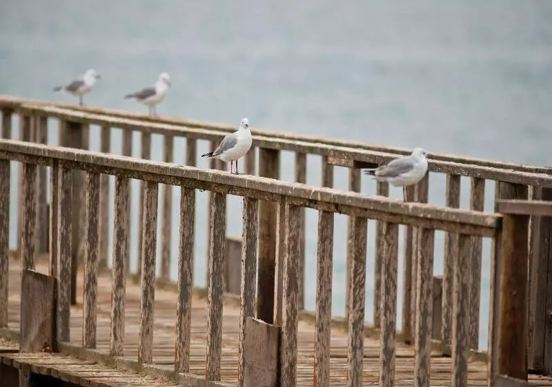 Protea Hotel By Marriott Walvis Bay Pelican Bay