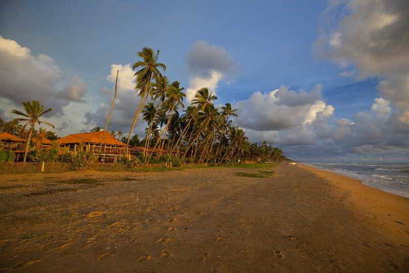 فندق Serene Pavilions