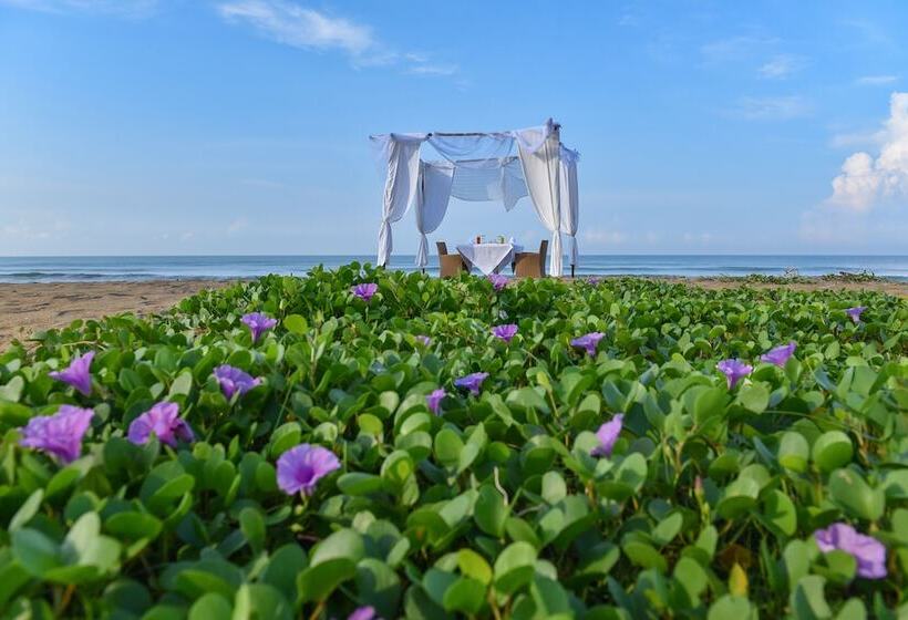 فندق Serene Pavilions