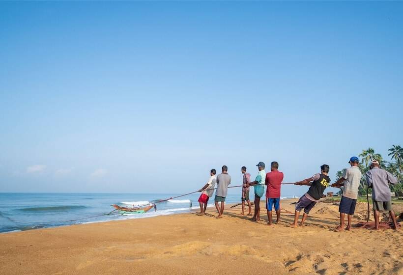 فندق Serene Pavilions