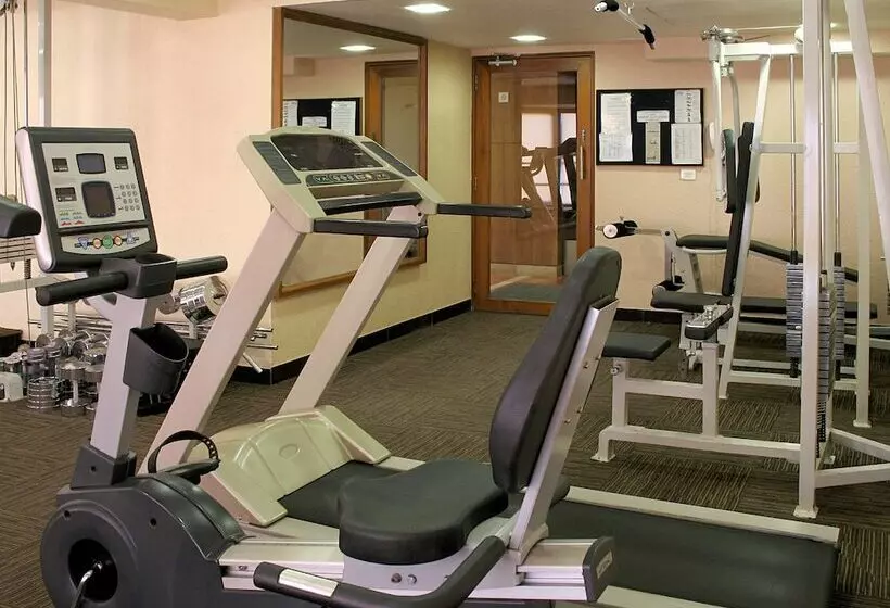 בית מלון כפרי The Central Park