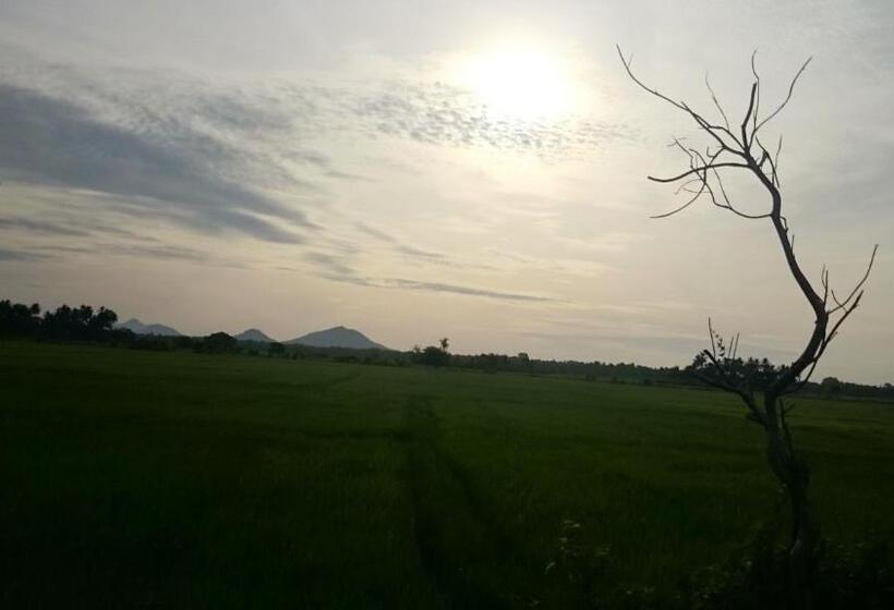 Отель Wila Safari