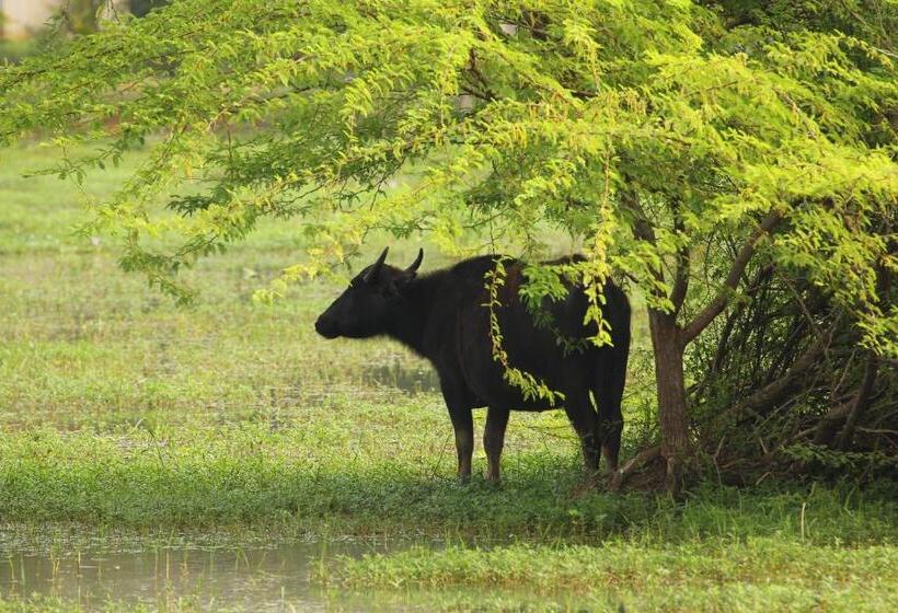 Отель Wila Safari