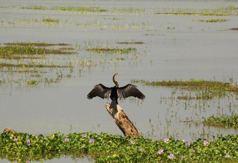 Отель Wila Safari