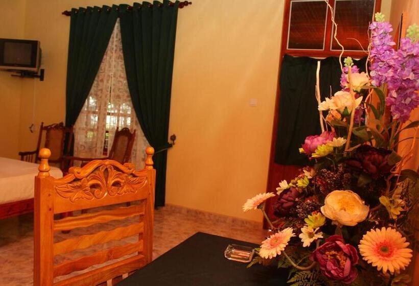 Отель Wila Safari