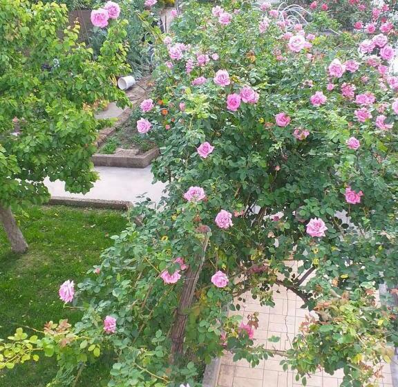 مبيت وإفطار Domus Liberty