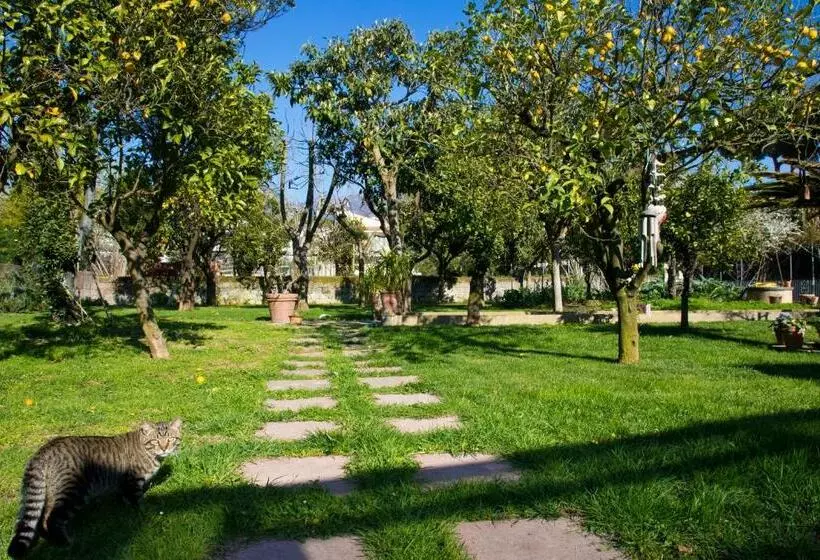 Aamiaismajoitus (B&B) Domus Liberty