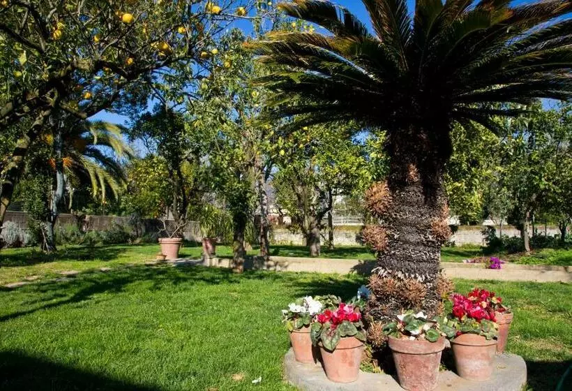 Aamiaismajoitus (B&B) Domus Liberty