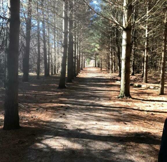 住宿加早餐  Sweet Dreams