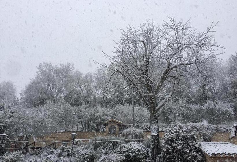 فندق Il Renaiolo