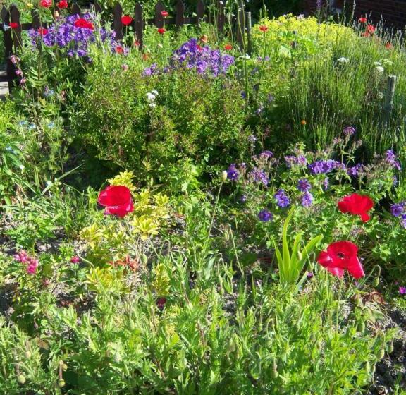 Bed and Breakfast De Twee Paardjes