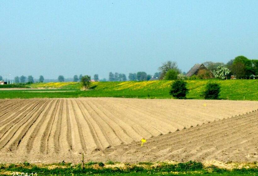 Bed and Breakfast De Twee Paardjes