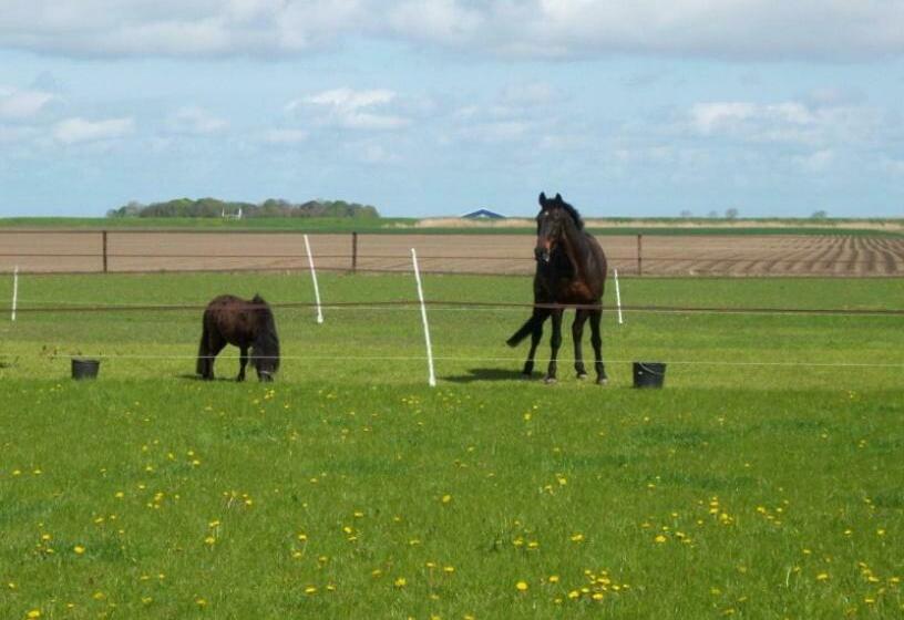 Bed and Breakfast De Twee Paardjes