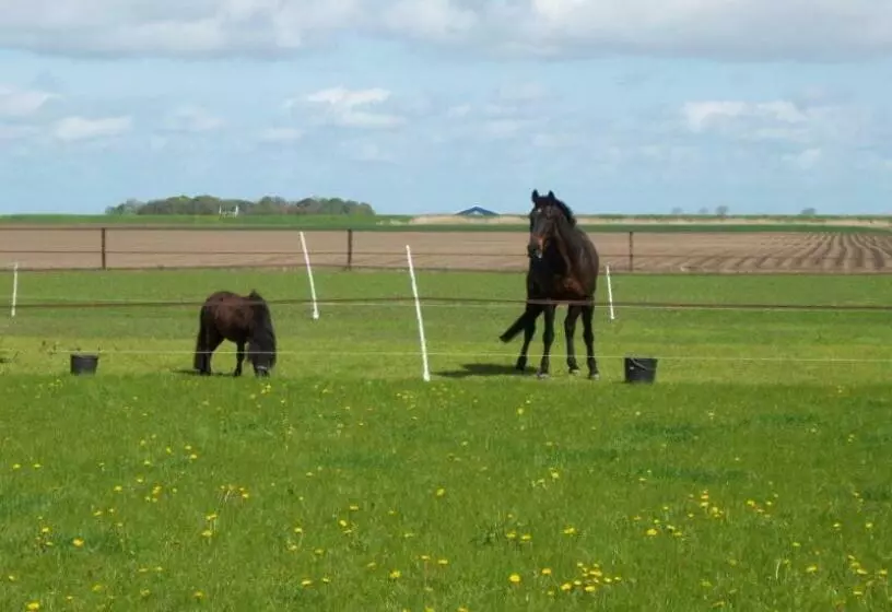 ベッドアンドブレックファースト De Twee Paardjes