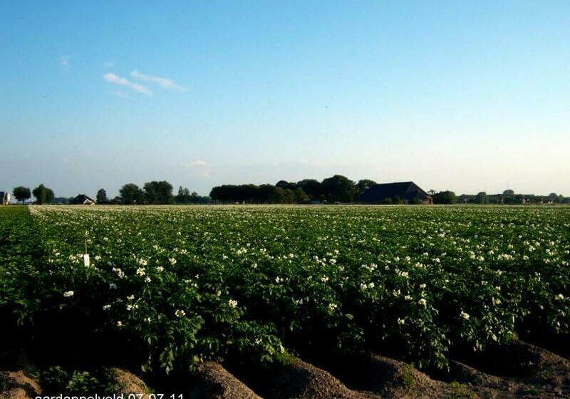 Bed and Breakfast De Twee Paardjes