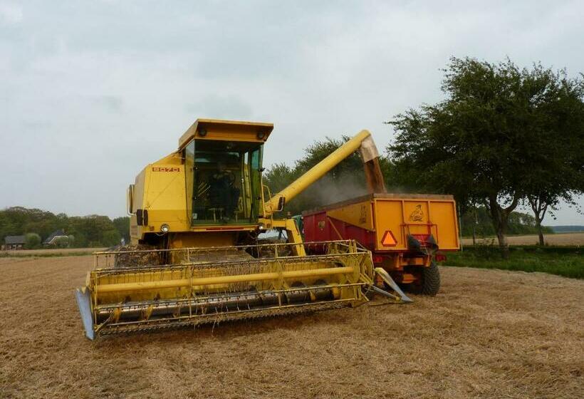 Bed and Breakfast De Twee Paardjes