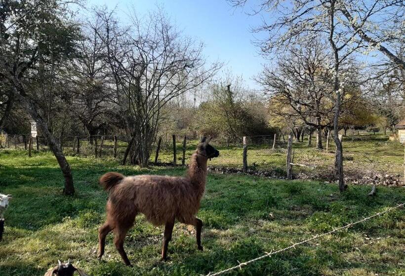 住宿加早餐 La Treille