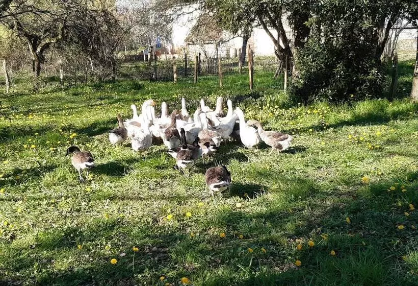 ベッドアンドブレックファースト La Treille