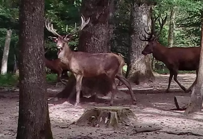 ベッドアンドブレックファースト La Treille