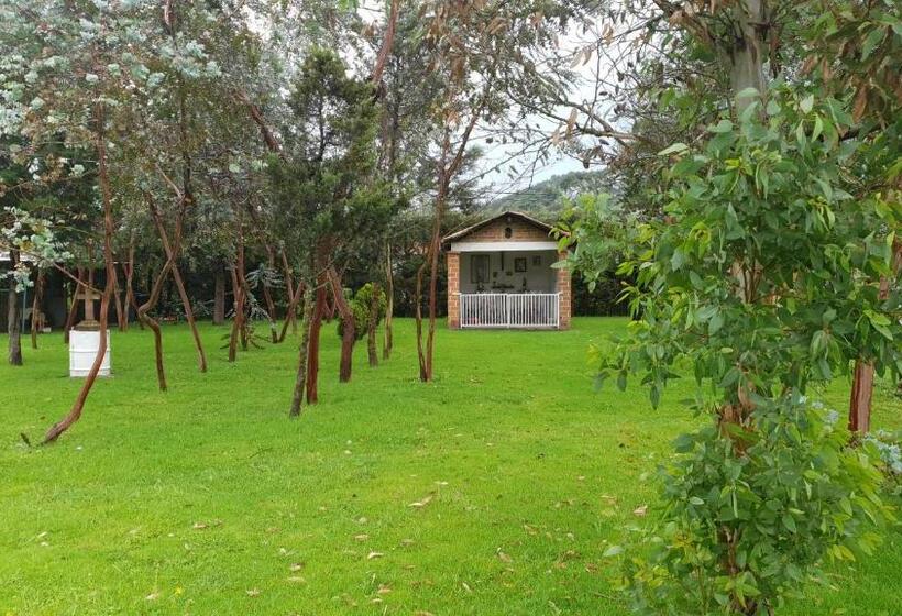 فندق Rio Estigia Inn