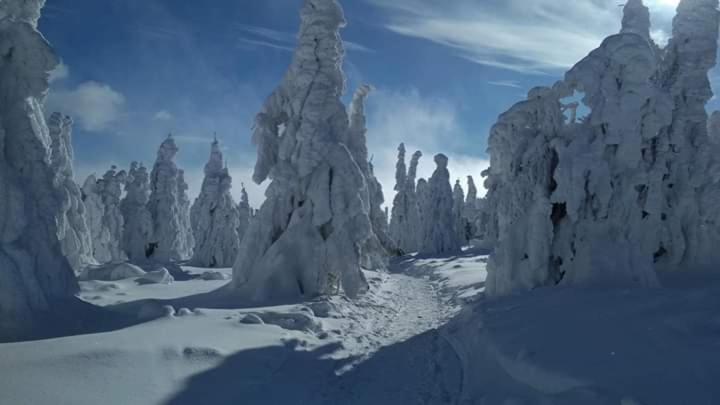 ペンション Katalin Kulcsosház