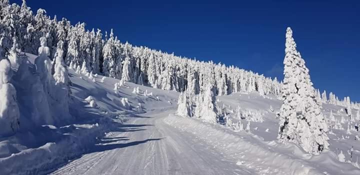 ペンション Katalin Kulcsosház