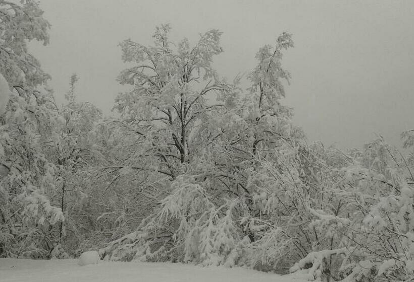 ペンション Katalin Kulcsosház