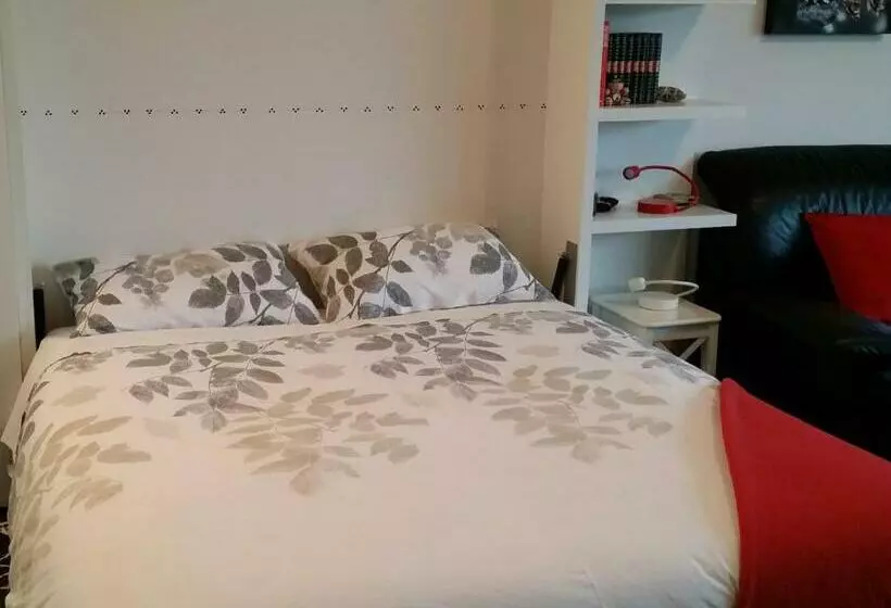 Piccin Lounge B&b