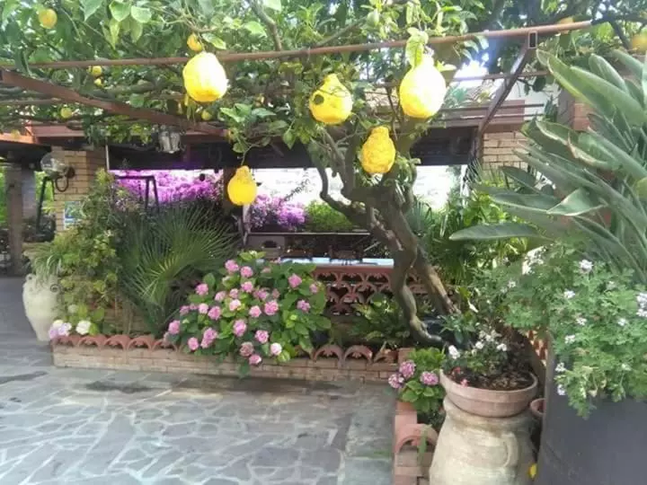 B&b La Porta Del Cilento