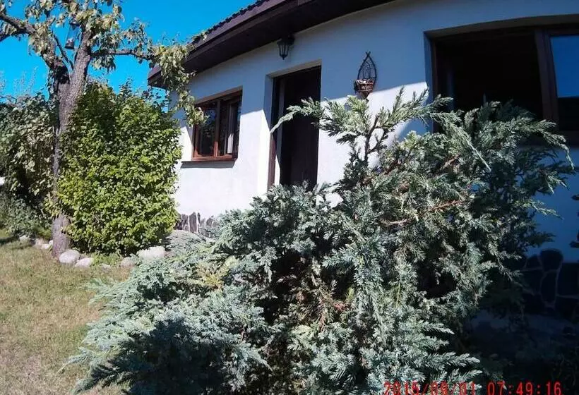 Aamiaismajoitus (B&B) Mikulas Guest House