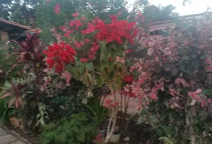 ペンション Suítes Dona Ilda