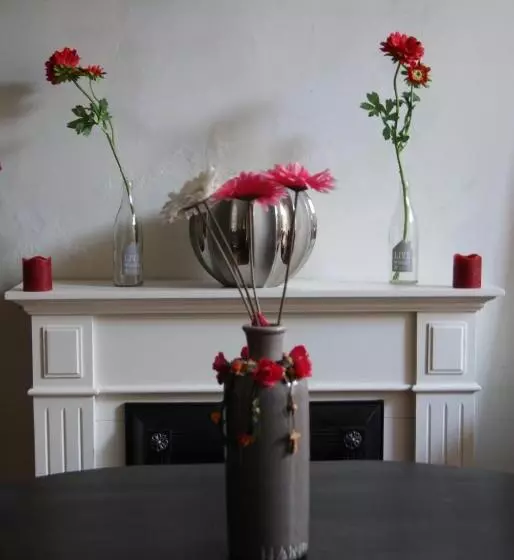 Aamiaismajoitus (B&B) De Zevenster Gevestigd Aan De Winkelstraat