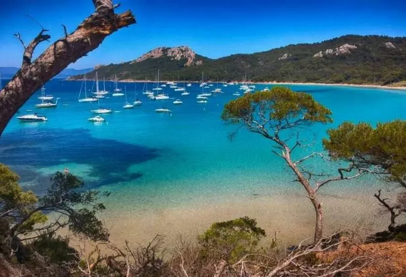 ベッドアンドブレックファースト Les Pieds Dans L Eau