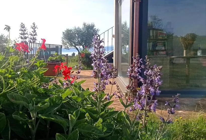 Hotelli Azienda Agricola Pian Del Grano