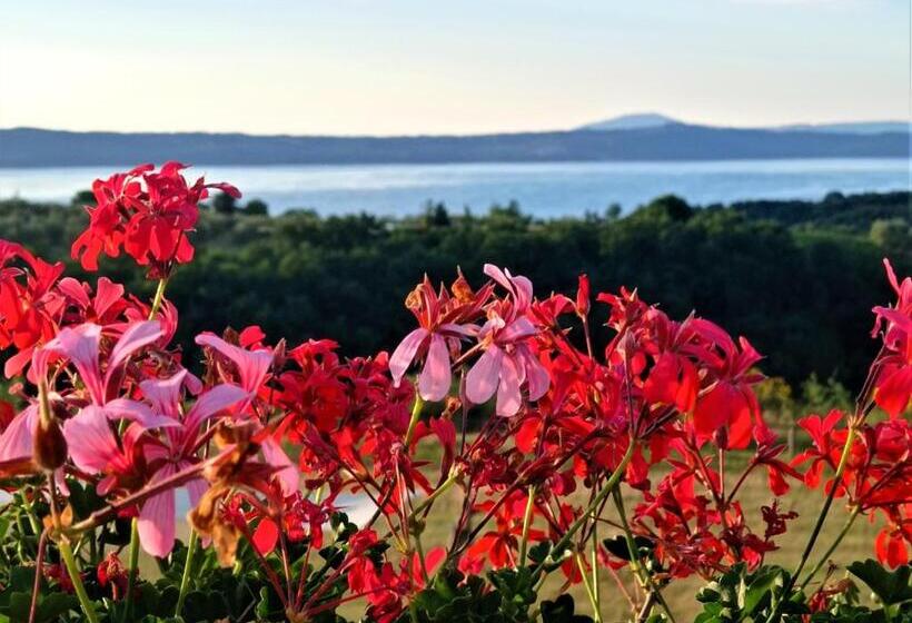 호텔 Azienda Agricola Pian Del Grano