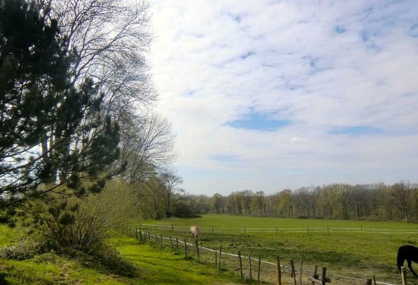 酒店 Les Anniquins