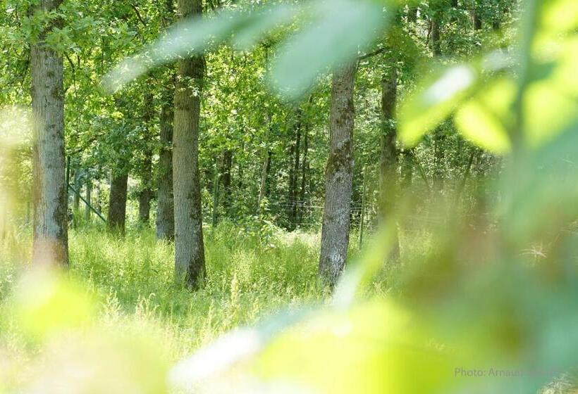 مبيت وإفطار Le Jardin Des Biches