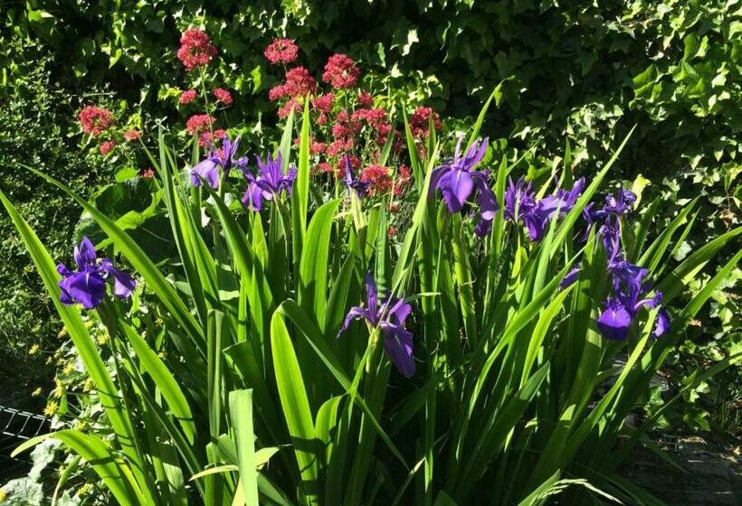 Bed & Breakfast Esprit De Mer