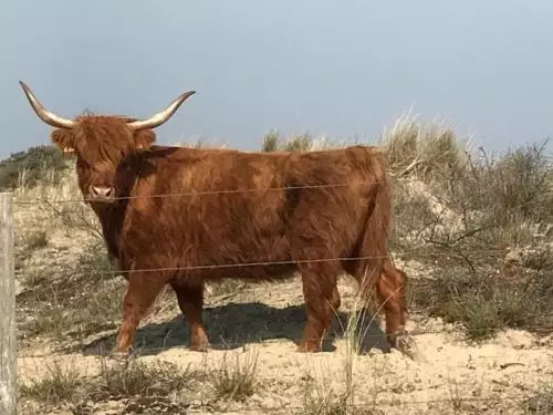 Bed & Breakfast Esprit De Mer