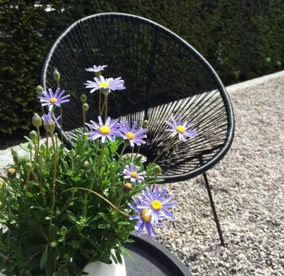 Bed & Breakfast Esprit De Mer